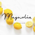 Magnolia, Restaurant, resto, Montréal, SORTiRMTL, sortir, mtl